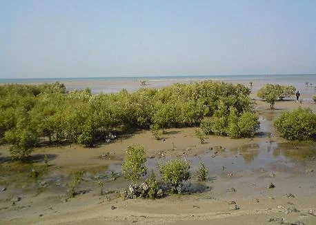 Marine National Park Jamnagar
