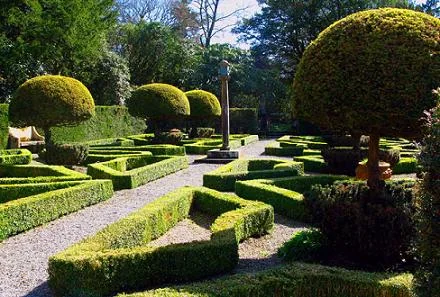 Dutch Gardens