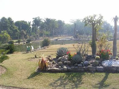 National Cactus Garden Landscaped Rockeries and Succulents in Panchkula Haryana