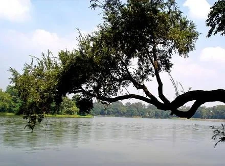 Hudco Lake Waters and Forest Trails in Telco Colony Jamshedpur Jharkhand