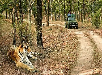 National Parks and Forest Safari Reserves in India