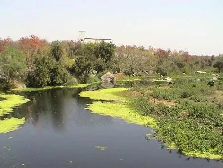 Orchha Wildlife Sanctuary