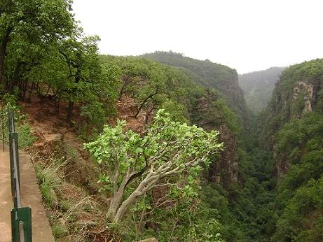 Priyadarshini Forsyth Point Viewpoint in Pachmarhi Madhya Pradesh
