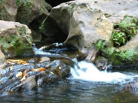 Ramya Kund Irene Pool Natural Mountain Spring in Pachmarhi Madhya Pradesh