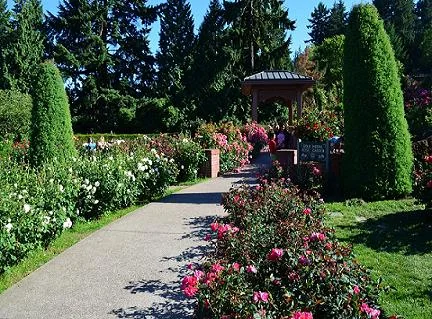 Traditional Japanese Garden Aesthetics and Floral Arrangements