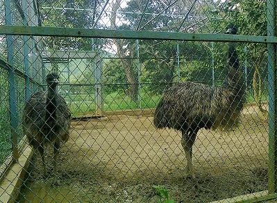 Manipur Zoological Gardens
