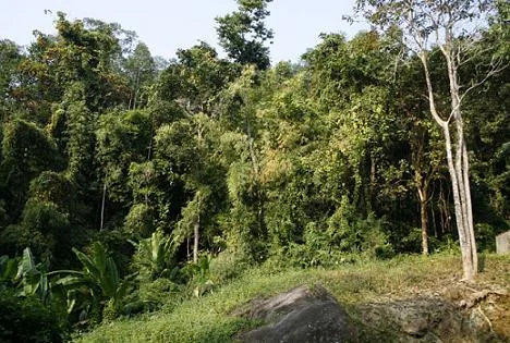 Dampa Wildlife Sanctuary