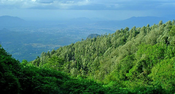 Yercaud