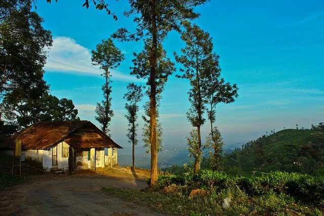 Wayanad Western Ghats Cloud Covered Mountains and Passes