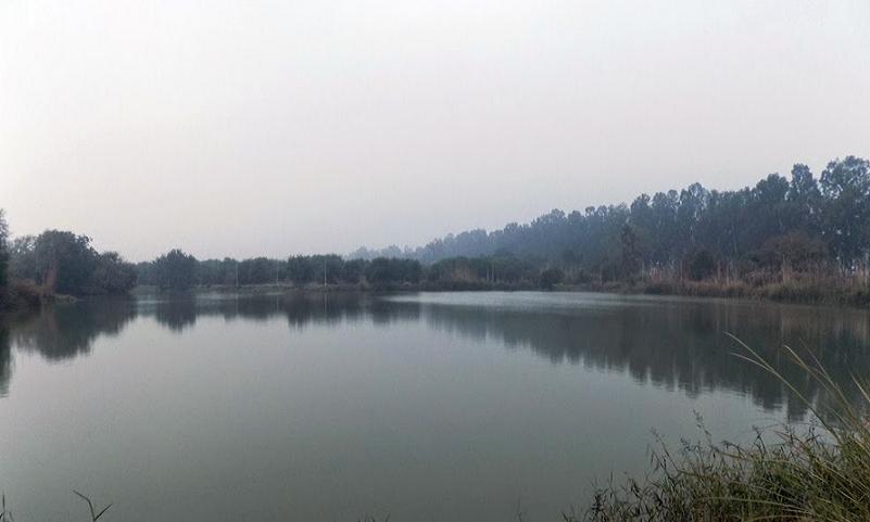 Bhindawas Lake