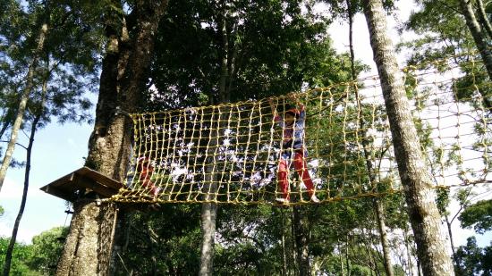 Grange Tree Top Adventure Park