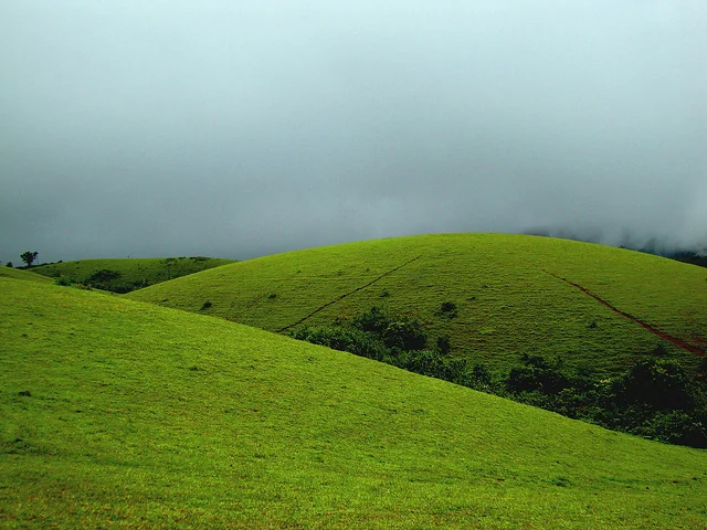 Vagamon Meadows Mottakkunnu Rolling Green Velvet Hills