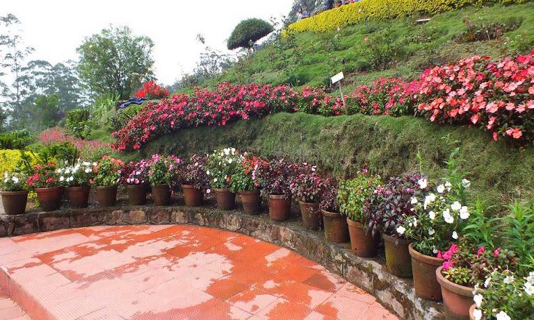 Rose Garden