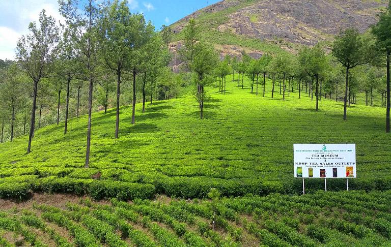 Munnar