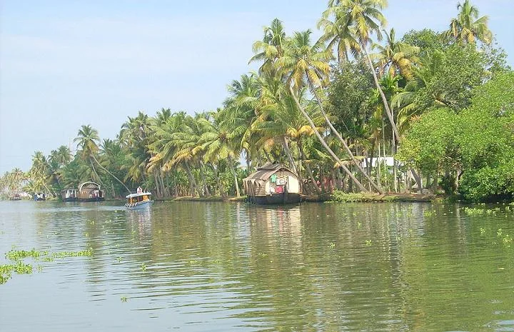 Kuttanad Below-Sea-Level Paddy Fields and Backwater Canals in Alleppey Kerala
