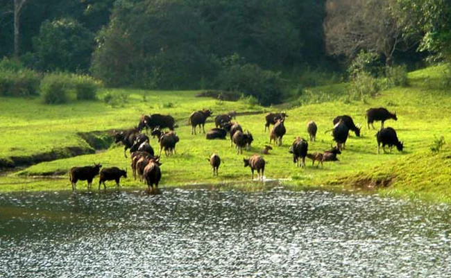 Shenduruny Wildlife Sanctuary