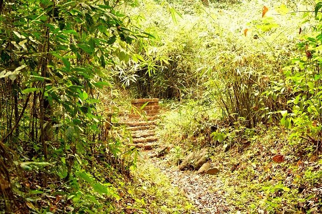 Kammadam Sacred Grove Wildlife Sanctuary