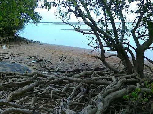 Thalangara Coastal Waterfront and Chandragiri Estuary in Kasaragod