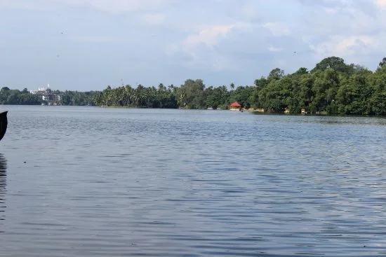 Munroe Island Backwaters and Ashtamudi Lake Confluence in Kollam Kerala