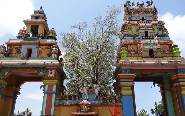 Oachira Parabrahma Temple Sacred Open Sand Plains and Banyan Tree Shrines in Kollam
