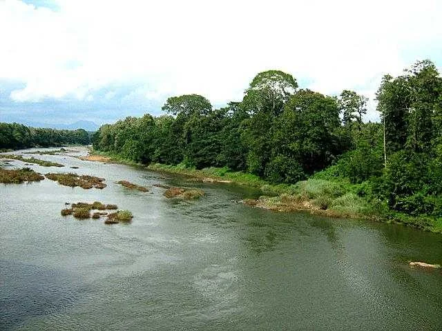 Kallai River Historic Timber Basin and Flowing Waterways in Kozhikode