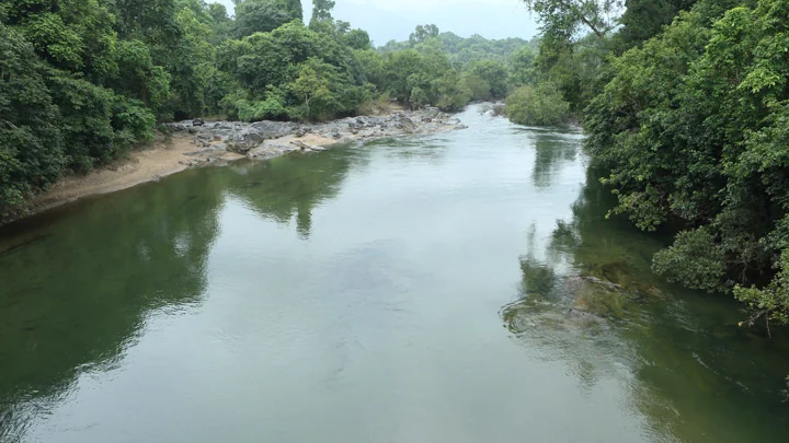Nedumkayam Dense Evergreen Rainforest and River Stream in Nilambur Malappuram