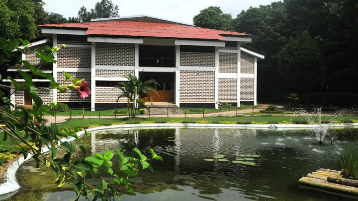 The World Famous Living Kannimara Teak Tree at Parambikulam