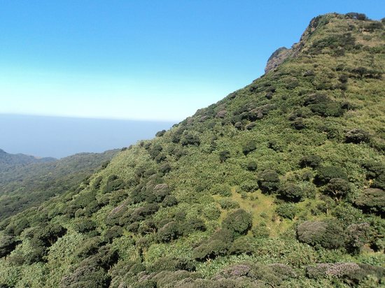 Agastya Mala
