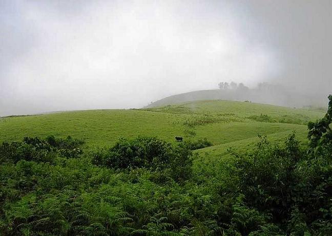 Ulipooni Wildlife Sanctuary