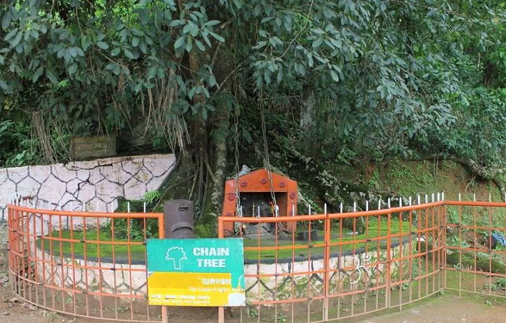 Lakkidi