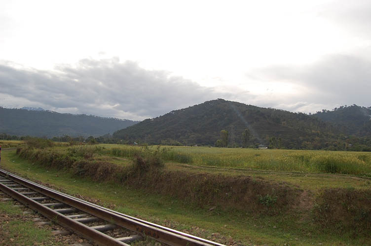 Kangra