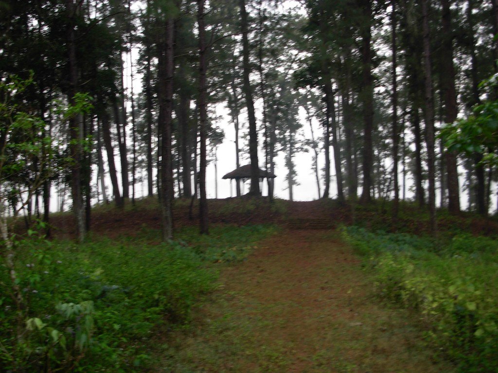 Lanji Fort and Gond Dynastic Heritage