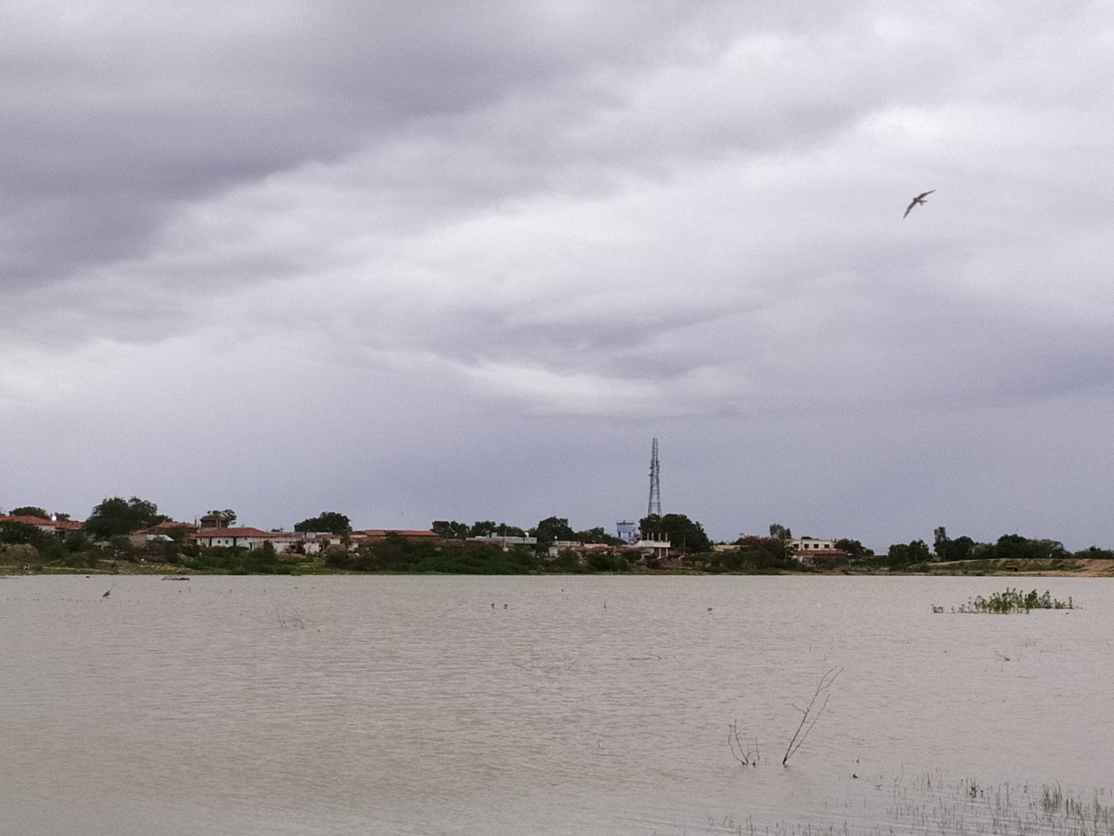 Singur Dam Reservoir and Manjira River Lake View