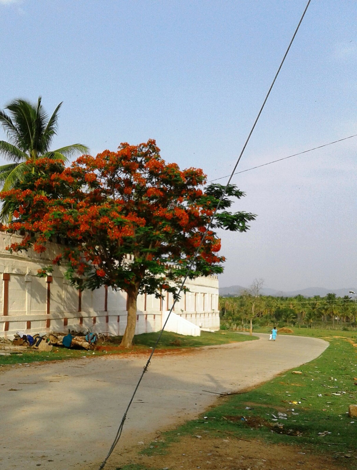 Sacred Malekal Tirupati Hill Temple of Lord Venkateshwara