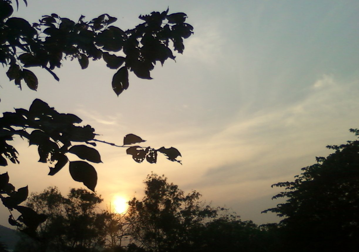 Sambara Polamamba Temple and Jatara