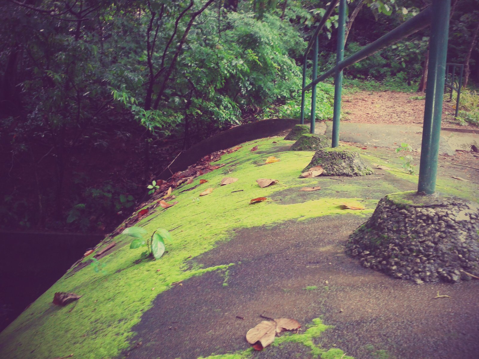 Cannel bridge in Thenmala, Punalur
