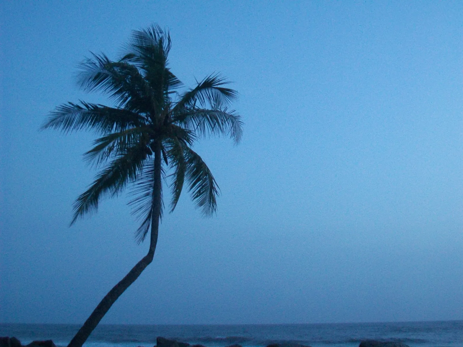 Scenic Paravur Lake and Pozhikara Estuary Horizons Near Mayyanad