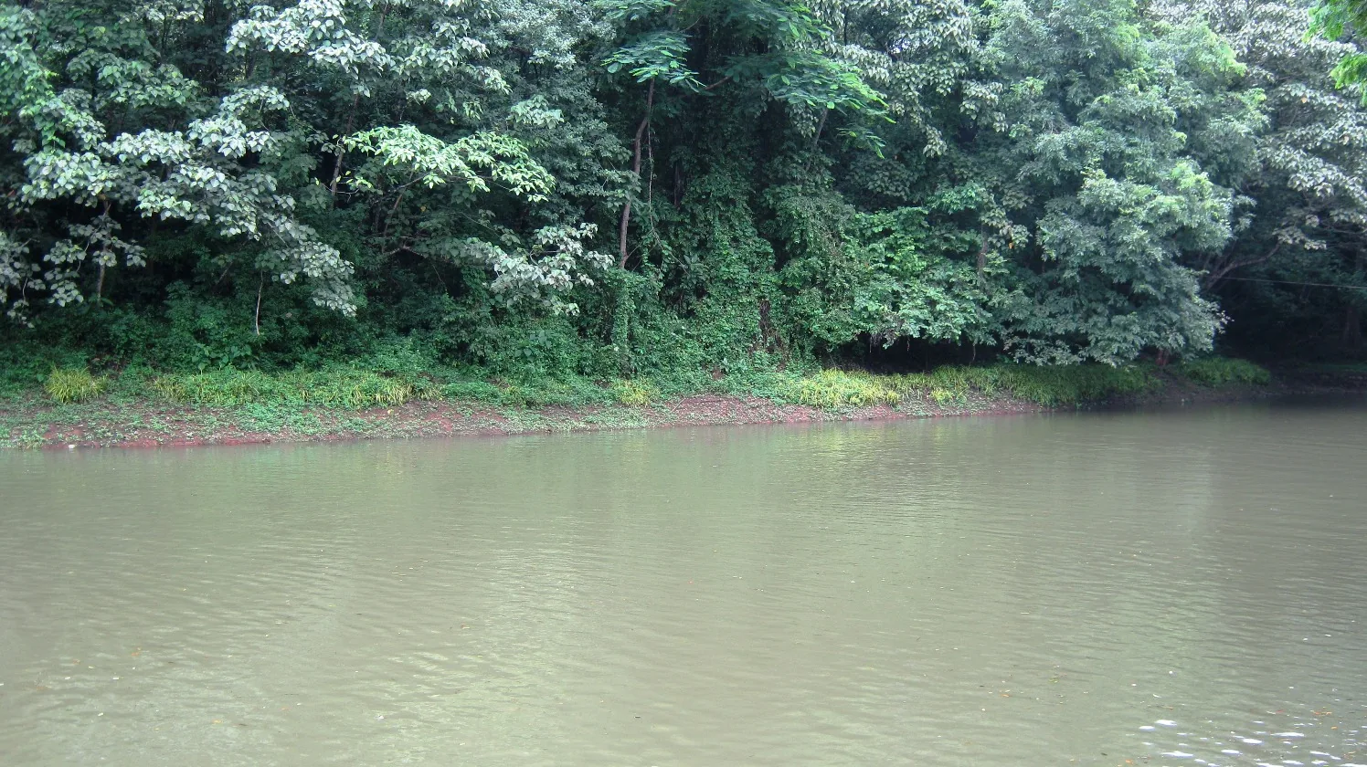 Tranquil Hilltop Panoramas and Lakes in Pathanamthitta District