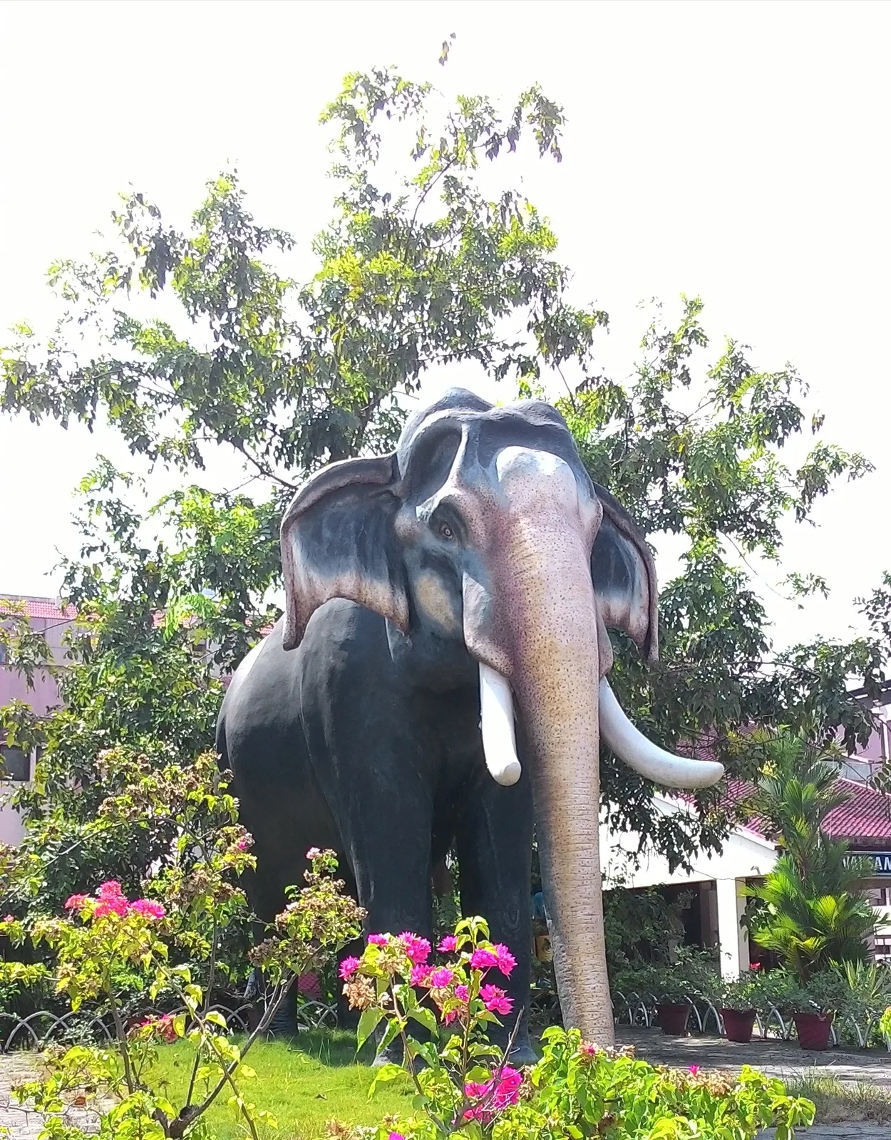 Traditional Temple Festivities and Caparisoned Sacred Tuskers in Kerala