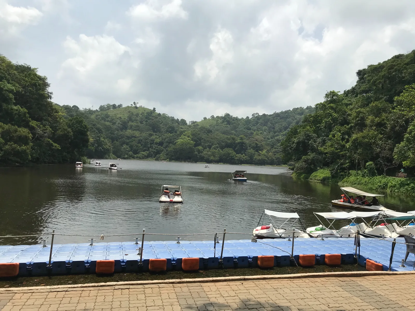 High Altitude Alpine Lakes and Shola Grasslands in Western Ghats