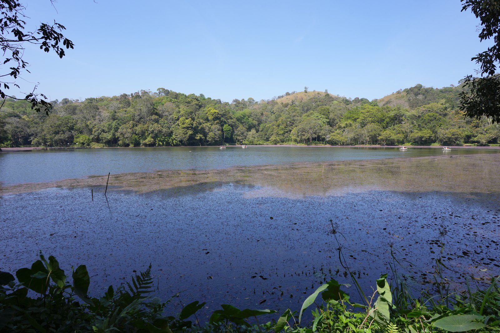 Kathgodam, Wayanad