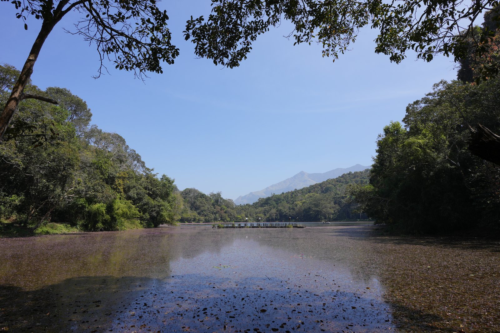 Dehradun, Wayanad