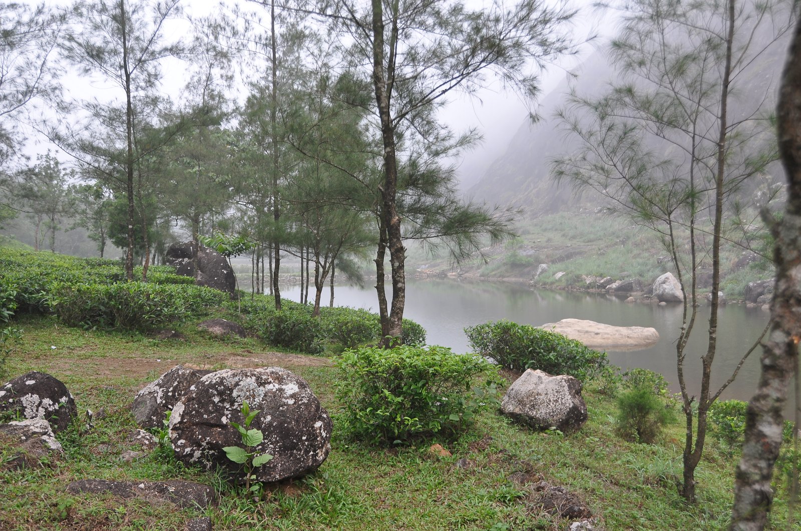 Pantnagar Airport, Vagamon