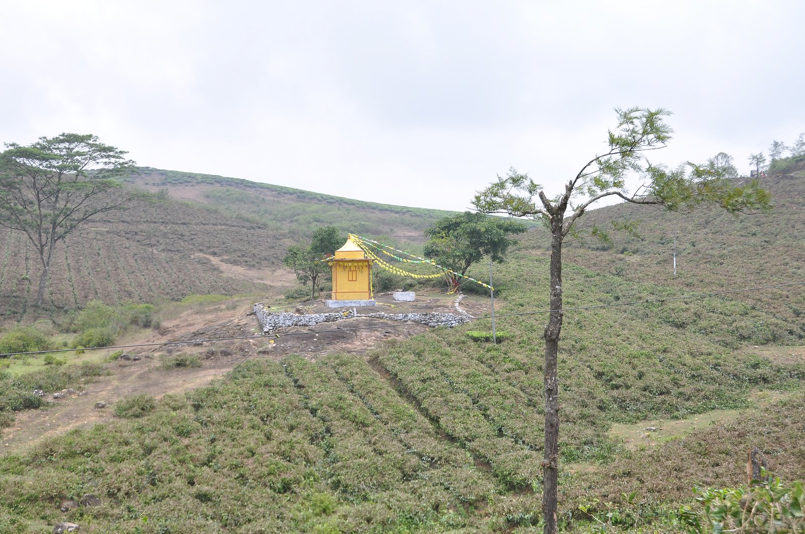 Bal Mithai, Vagamon