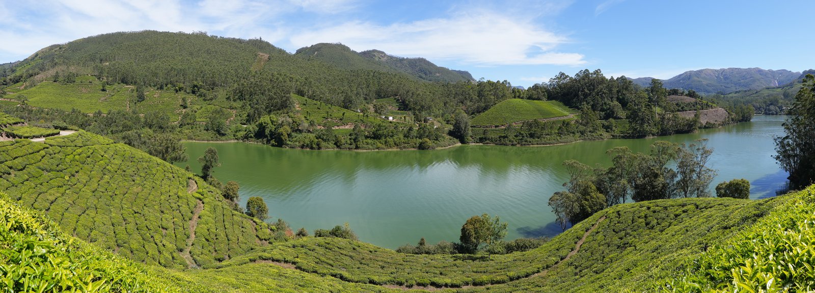 Bal Mithai, Idukki
