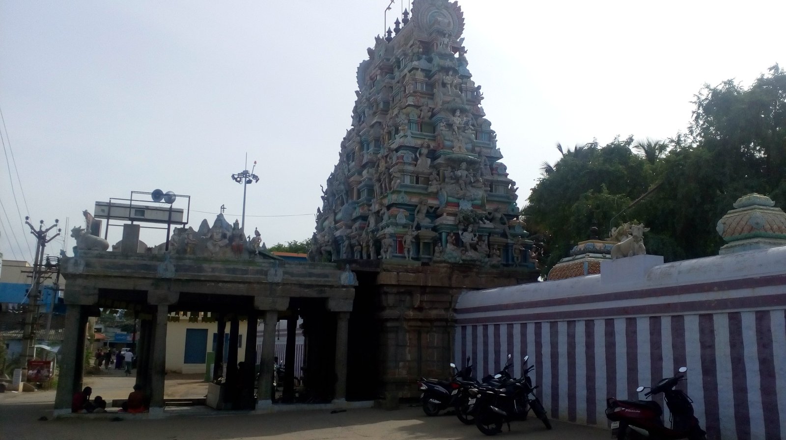 Rasipuram Pure Desi Ghee Mandis and Dairy Heritage