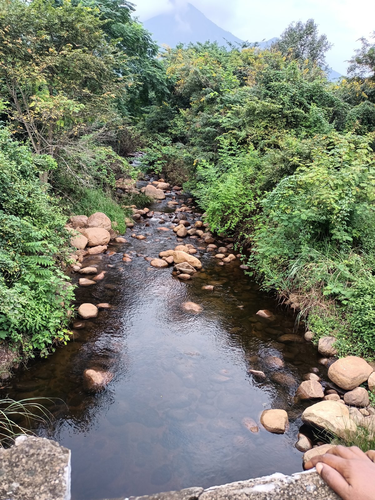 Kumbakkarai Natural Waterfalls and Kodaikanal Foothill Trails