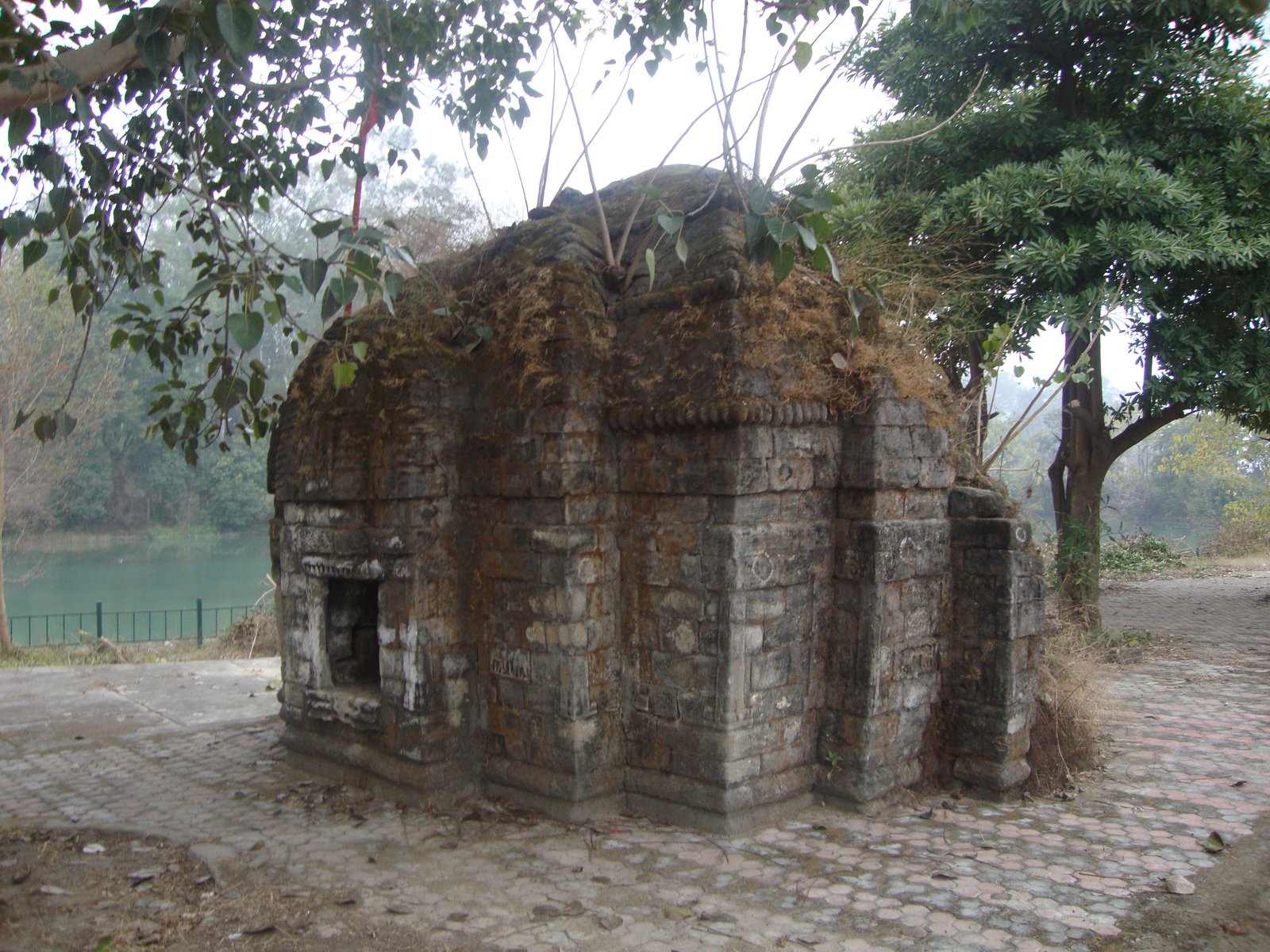 Nangal Wetland and Migratory Bird Sanctuary