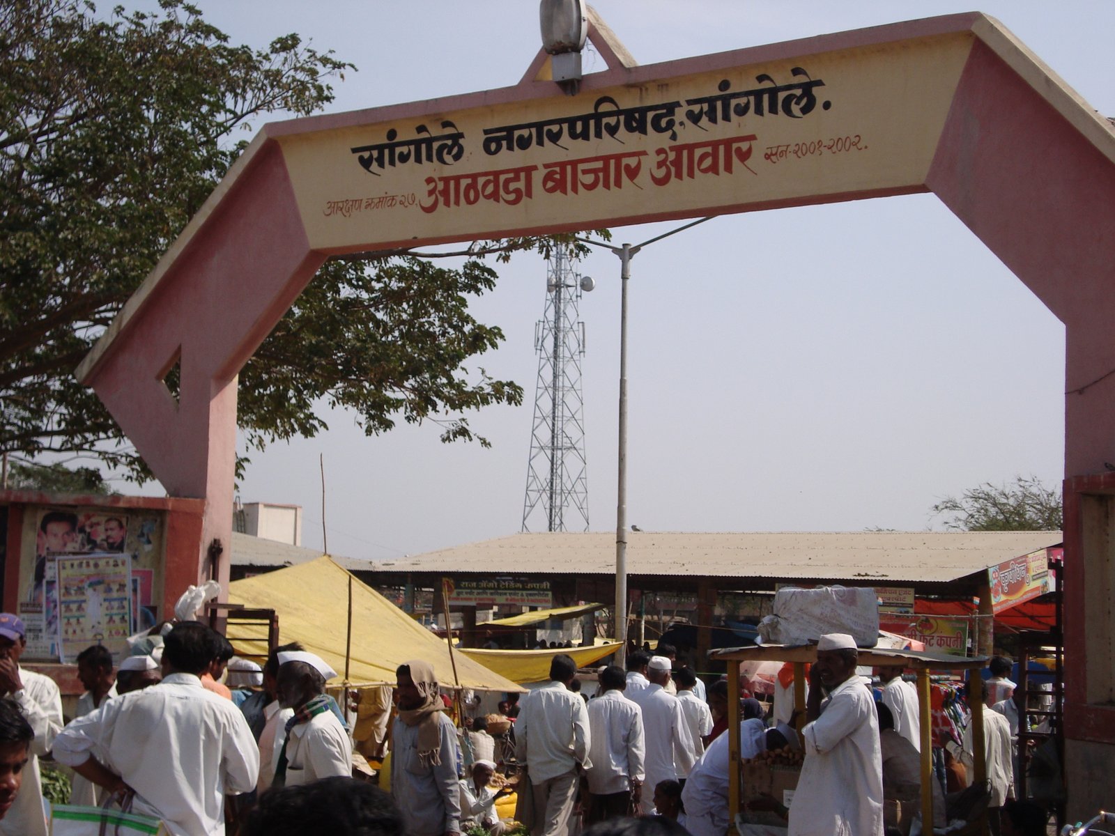 Sangole Weekly Pomegranate and Khillari Cattle Market