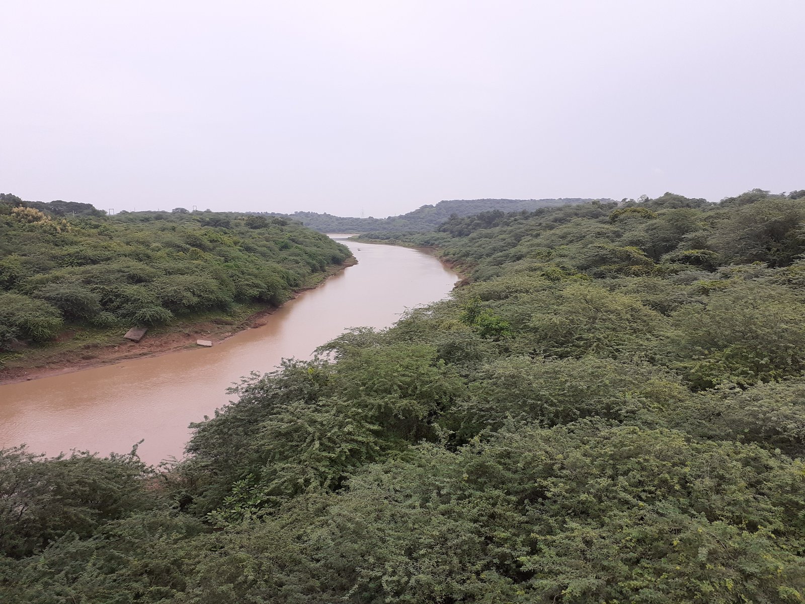 Rajura Town and Countryside Overview